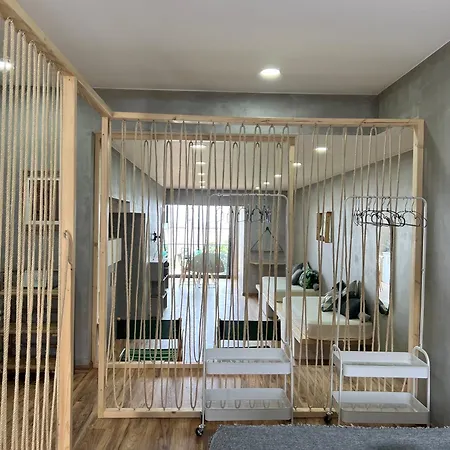 - Madeira Apartment
